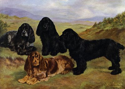 Cocker Spaniels by Lilian Cheviot